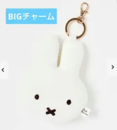 Item thumbnail for item 2a3571a1-dea7-4716-a750-b09a3bc6edae