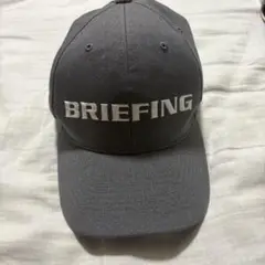 Item thumbnail for item 029c6c29-4628-48f5-9954-e442315a8956