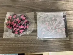 LiSA lifeCARD パスケース