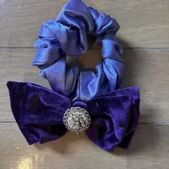 ディズニーリゾート ラプンツェル　リボン付きシュシュ