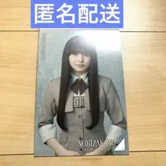 森平麗心　ネーブルオレンジ　ポストカード