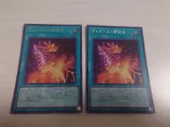 遊戯王 ヴェイドスの目覚め シークレット 2枚