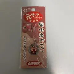 元気のお守り　風水あかべこ　会津若松限定