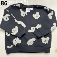 Item thumbnail for item 8087ca56-34df-4a81-8d4c-dddc9a285d59