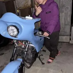 2025年最新】vtz250 テールカウルの人気アイテム - メルカリ