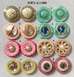 ボタンカボション250⑤ 8/8