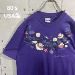 USA古着Tシャツ 80's 半袖 ヘインズタグ シングルステッチ USA製