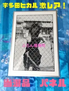2025年最新】森山大道 宇多田ヒカルの人気アイテム - メルカリ