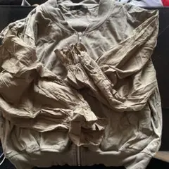 Item thumbnail for item 8a447793-840a-43cd-9cec-89dc73967091