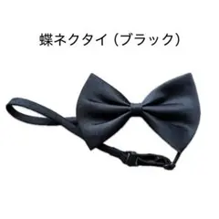 Item thumbnail for item aef245c7-174a-430a-a971-e9658d91c526