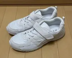 アキレス　瞬足