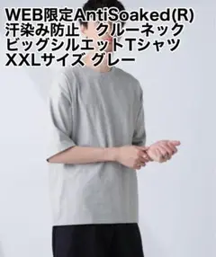 【美品】Anti Soaked(R)ビッグシルエットTシャツ グレー
