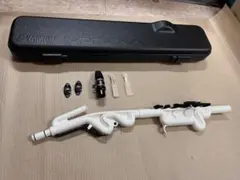 Item thumbnail for item 5bbbecd5-d1f1-4b98-85be-2fbd8f1334b3