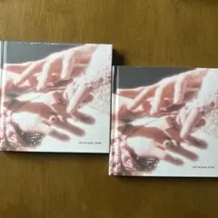 (2個セット①)shinee Poet Artist フォトブック 新品未開封