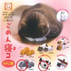 Item thumbnail for item 0031ff7f-c181-4b25-9835-9e83330f781d