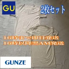 GUNZE YG & GU VネックTシャツ 2枚セット M ベージュ