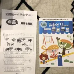 新品　未使用　ポピっこ　あおどり抜粋版　全国統一年長生テスト