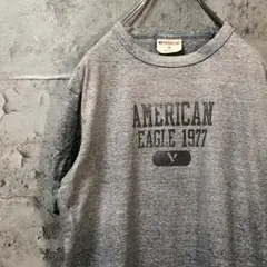 AMERICAN EAGLE ワシ USA輸入 スレ加工 Tシャツ