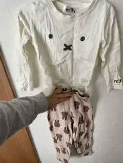 miffy 100