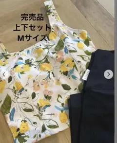 Item thumbnail for item 33ea2fb1-c2fa-4a19-bbad-f8b10bf41166