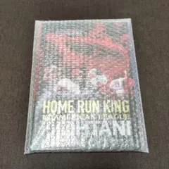 大谷翔平　ホームラン王記念（切手なし）