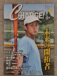 Item thumbnail for item 7d891606-75ad-4292-9d76-04cd747242c7