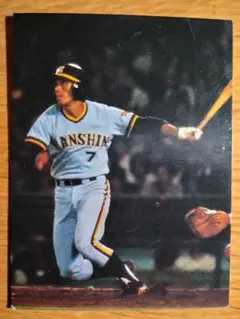 阪神タイガース　真弓明信選手　カルビー　'79プロ野球カード　君達が選んだスター
