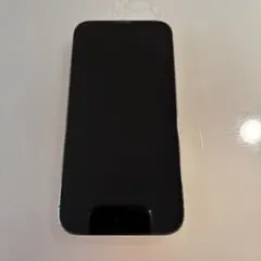 Apple iPhone 13 Pro グラファイト