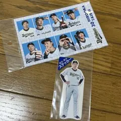 廣岡大志　オリックスバファローズ　証明写真　ステッカーセット