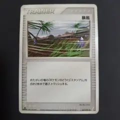 ポケモンカード 暴風 1ED