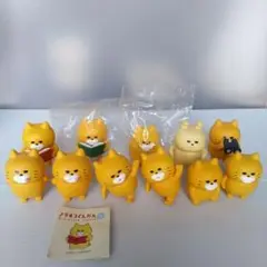 ノラネコ軍団ガチャ11種