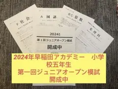 2025年最新】開成ジュニアオープンの人気アイテム - メルカリ