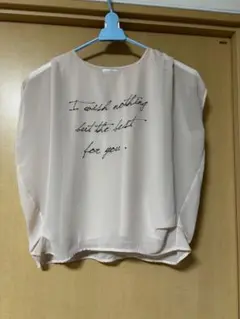美品　any FAM シフォントップス　ピンク
