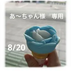 あーちゃん様　専用
