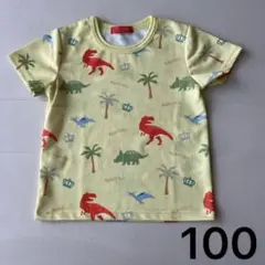 ベビードール　半袖速乾Tシャツ 100
