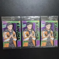 WIND BREAKER ウィンブレ ウエハース 2 鹿沼稔