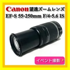 Item thumbnail for item 779400e7-3fc5-4f85-8e17-7cb9b1ae1bbc