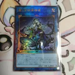 ジロフソニア　ゴルゴーン　レリーフ