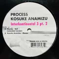 Process / Kosuke Anamizu レコード テックハウス