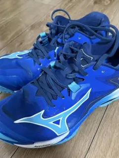 Item thumbnail for item 0b25f6cc-f032-4bb2-a093-72048d9fe5d3