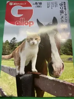 最新号 ギャロップ GALLOP Gallop 週刊 応募券なし