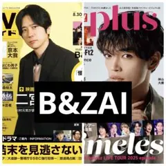 B&ZAI 切り抜き　TVガイド　plus