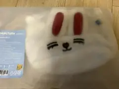 seventeen セブチ　miniteen エスクプス　ポーチ　スンチョル
