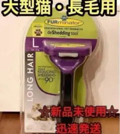 Item thumbnail for item eef31376-6269-4873-8296-20a72b1752e2
