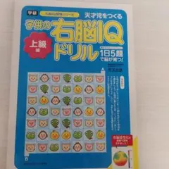 子供の右脳IQドリル : 天才児をつくる 上級編