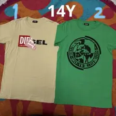 DIESEL KIDS Tシャツ 14Y