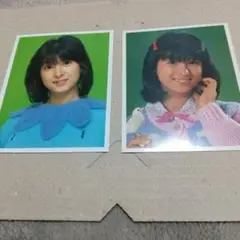 河合奈保子さんカード