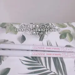 Item thumbnail for item 70a89f9c-d8ca-487f-9af7-609a5aee6e80