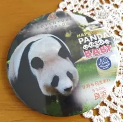 缶バッジ⑤