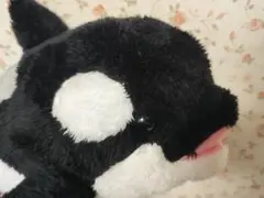 シャチのぬいぐるみ